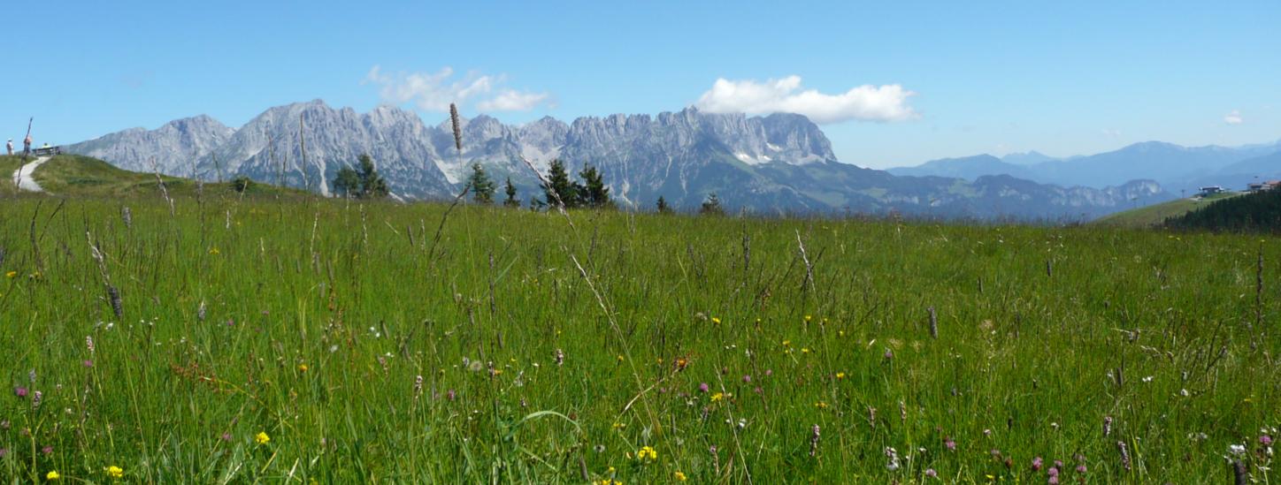 Wanderexerzitien am Wilden Kaiser in Tirol