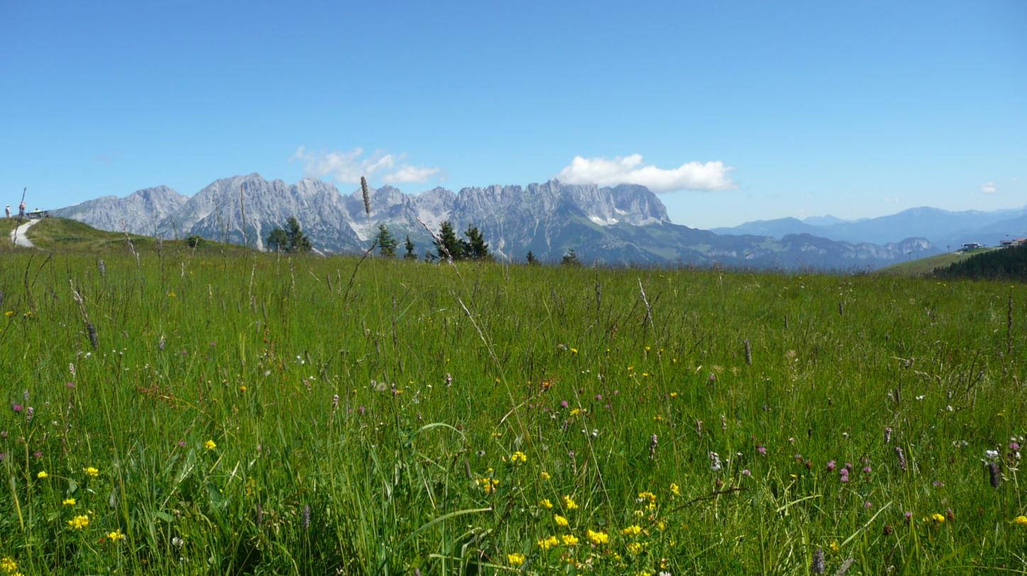 Wanderexerzitien am Wilden Kaiser in Tirol