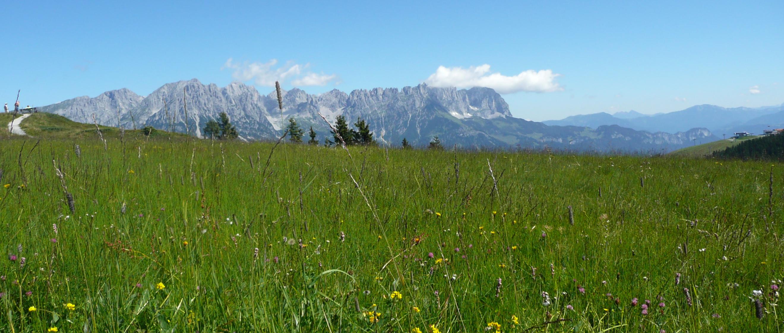 Wanderexerzitien am Wilden Kaiser in Tirol