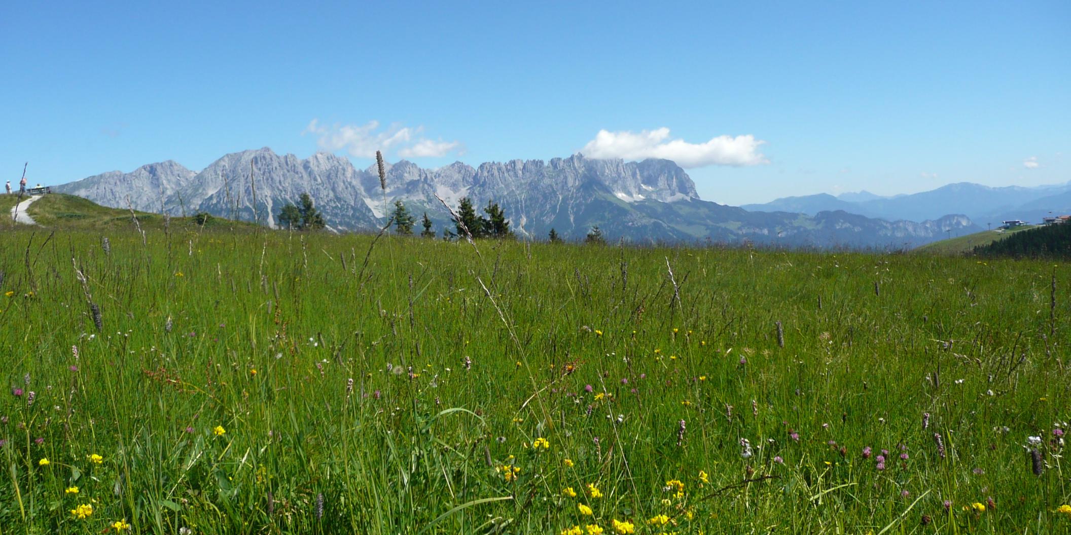 Wilder Kaiser Wanderexerzitien